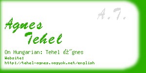 agnes tehel business card